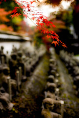 日本の秋 Autumn in Japan