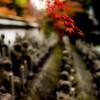 日本の秋 Autumn in Japan