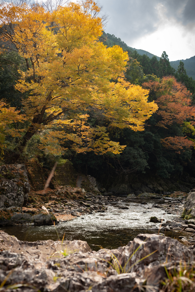 北山村の秋