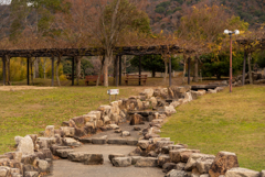 四季の里公園