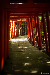 金剛の鳥居