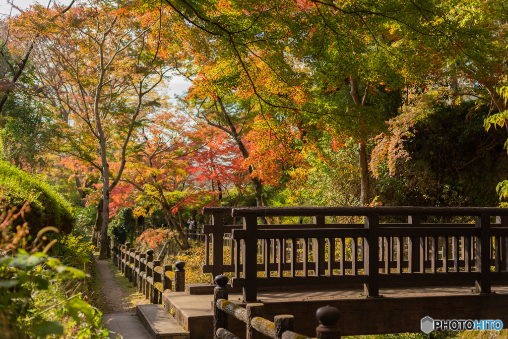 根来寺紅葉