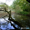 DSCF2842