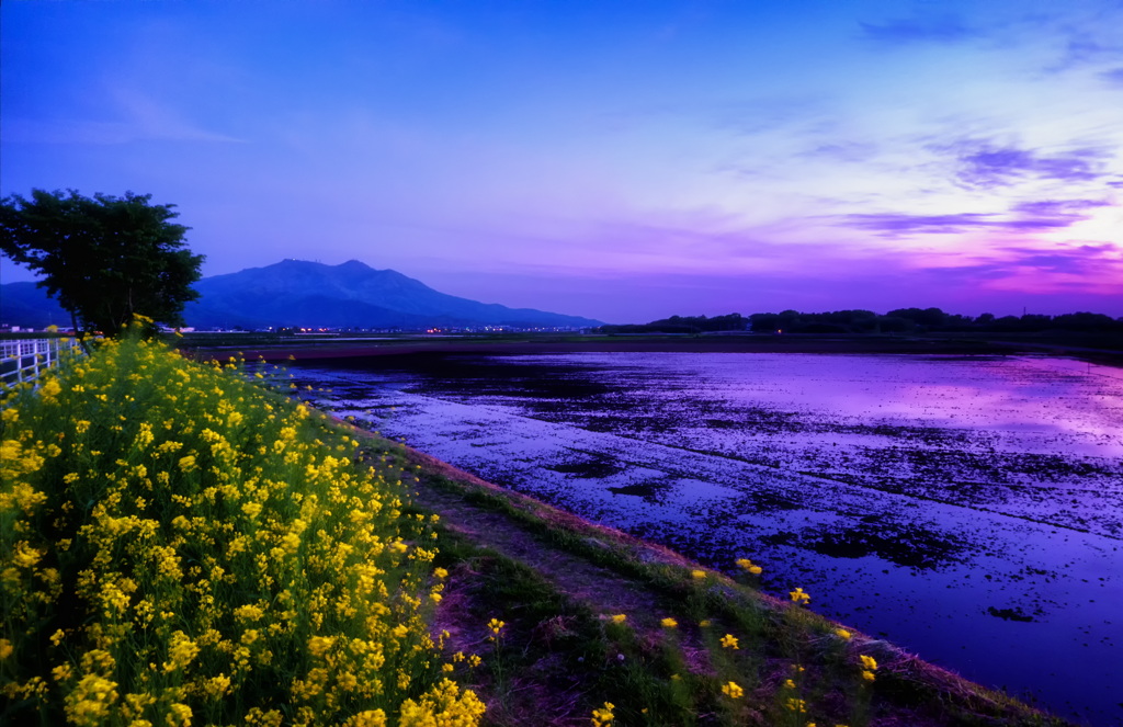 夕暮れ時の筑波山(コンデジ撮影)