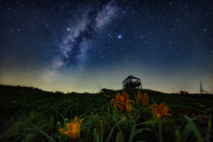 海辺に咲く星の花　その1