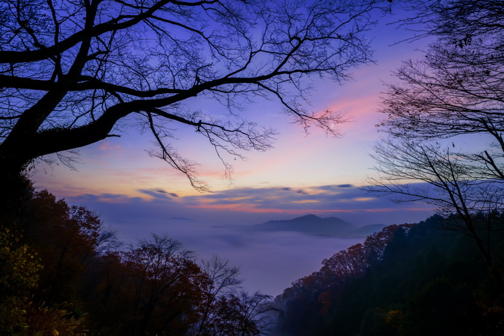 茂木町 鎌倉山 紅葉の向こうに広がる雲海1