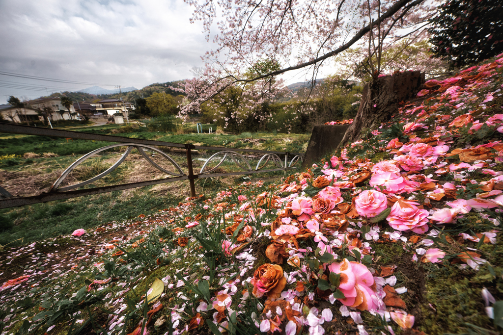 花道