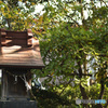 祠