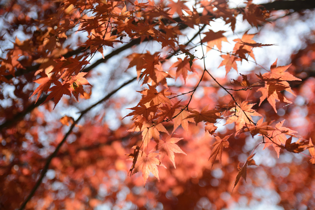 城峯公園４