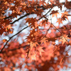 城峯公園４