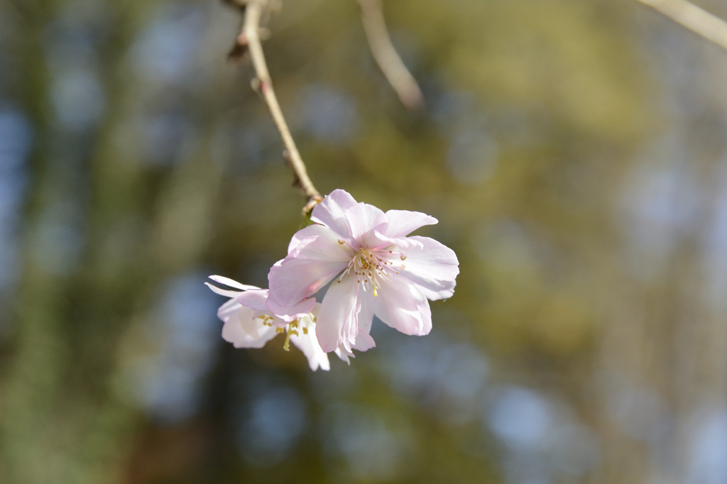 城峯公園６