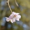 城峯公園６