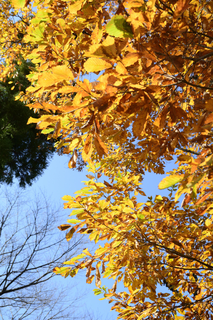 城峯公園３