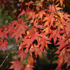 城峯公園１０