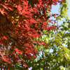 城峯公園７