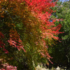 城峯公園９