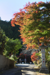 秩父御岳神社もみじ祭り04