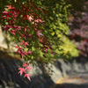 城峯公園８