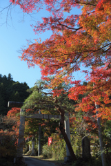 秩父御岳神社もみじ祭り03