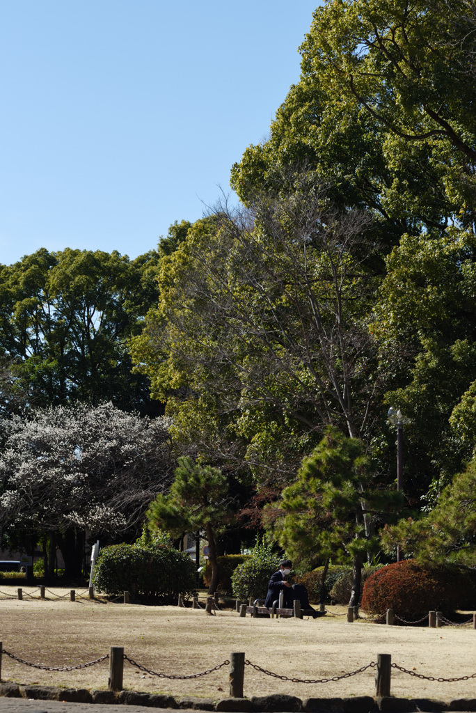 公園