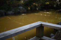 神社の池