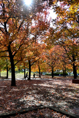 紅葉の中の散歩
