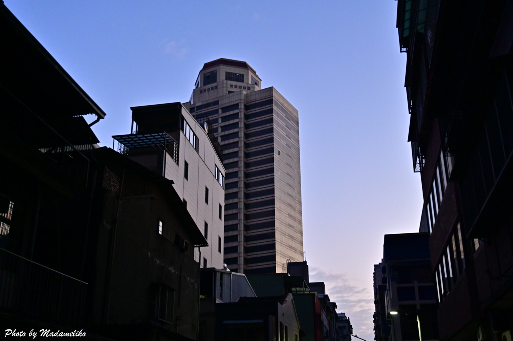 朝