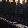 朝陽