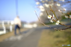 Spring has come.