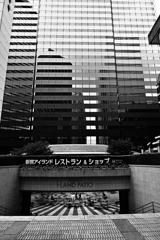 無彩 新宿島縞