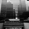 無彩 新宿島縞