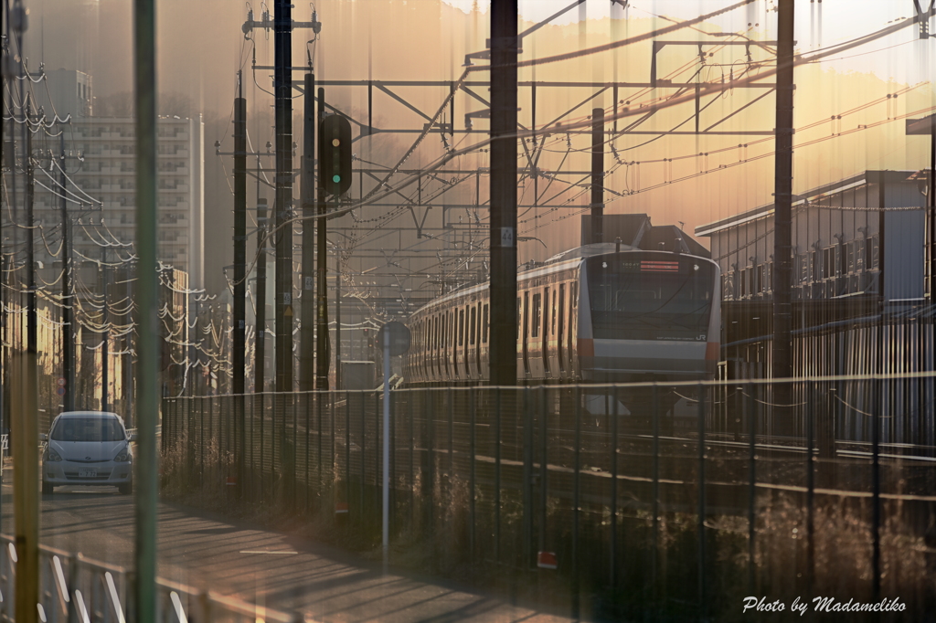 夕陽に押されて