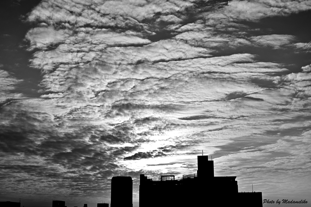 無彩 夕空