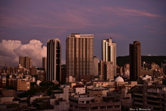 朝