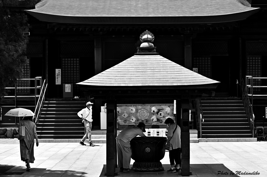 貴重な日陰