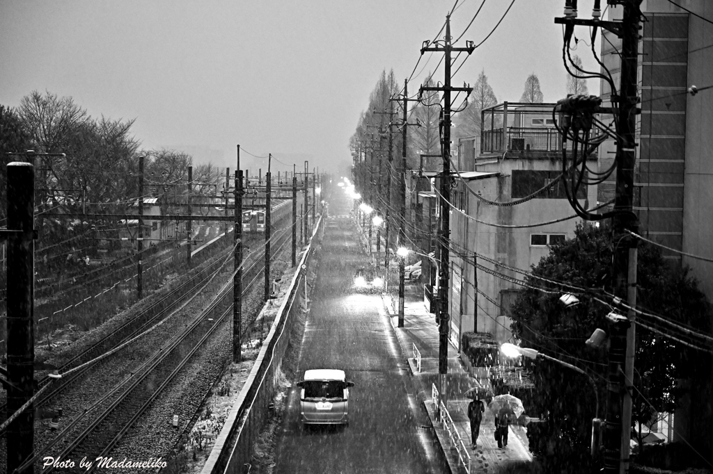雪が降る夕刻