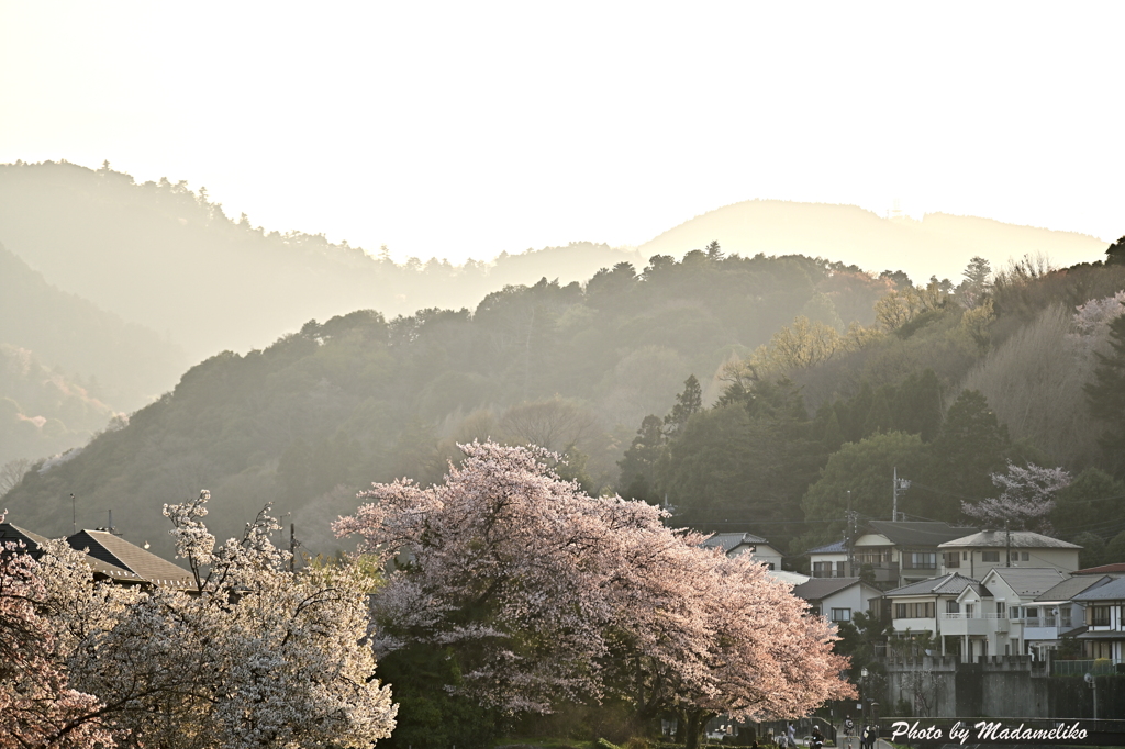 里の春