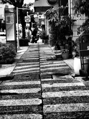 無彩 歩道