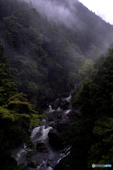 雨上がり