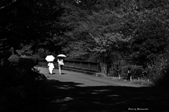 無彩 日陰から見送る