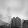 無彩 雨の朝