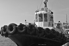 無彩 タグボート