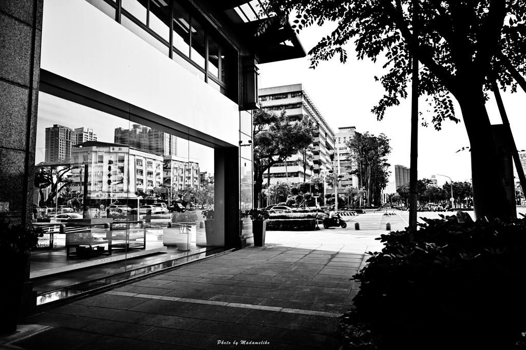 無彩 散歩道