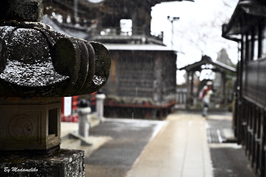 雪が降る