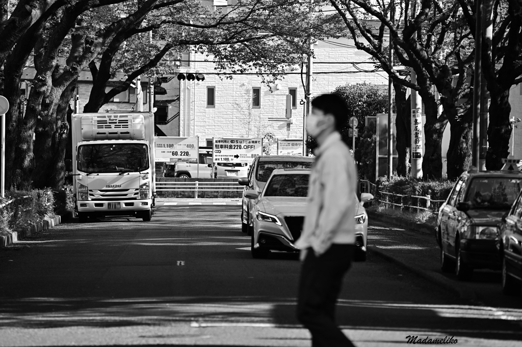 横断歩道