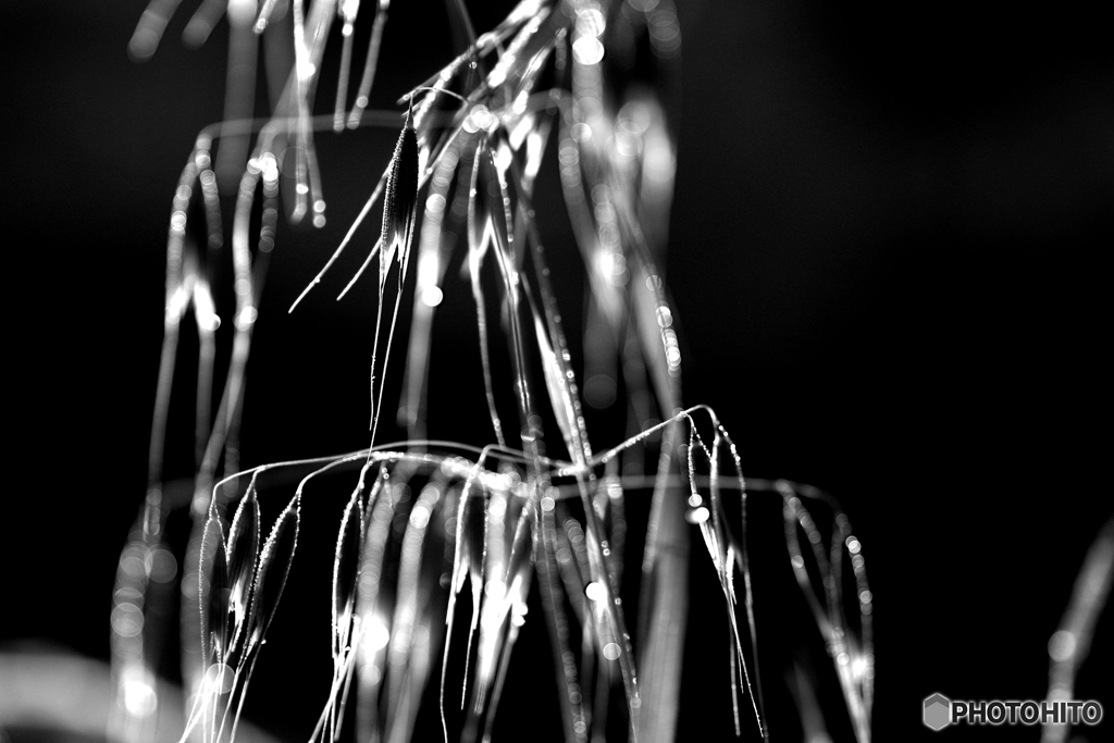 Silver connection