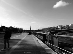 無彩 セーヌ河岸 秋