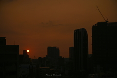 夕暮