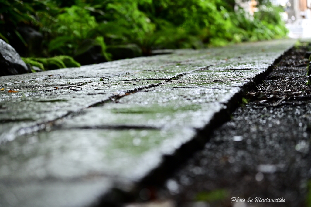 雨上がり