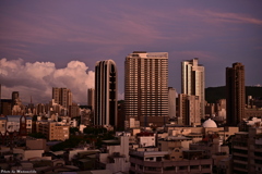 朝